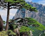 去黄山旅游需要注意哪些安全事项？