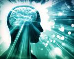 如何调整生物钟以避免晚上11点半后大脑的决策和情绪管理能力下降？