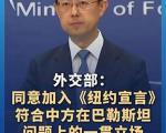 《纽约宣言》的具体内容是什么？