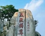 泰山冬季旅游的门票价格是多少？