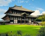 日本奈良旅游攻略