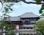 日本奈良旅游最佳季节
