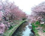 日本奈良两天一夜旅游攻略