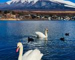 日本富士山夏季旅游详细攻略