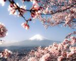 日本富士山两天一夜旅游攻略