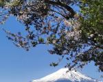日本富士山一日游旅游攻略