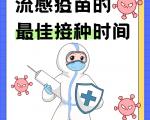流感疫苗的最佳接种时间