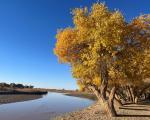 阿拉善盟胡杨林五天四夜旅游攻略