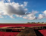 盘锦市红海滩风景廊道景区两天一夜旅游攻略