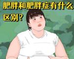 肥胖和肥胖症有什么区别？
