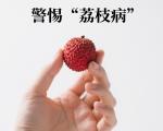 警惕荔枝病，科学处理低血糖