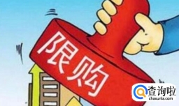海南为什么要限购