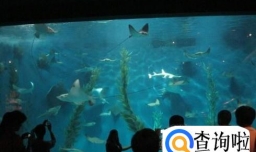 上海海洋水族馆一日游