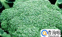 怎么样能提高生男孩的概率？