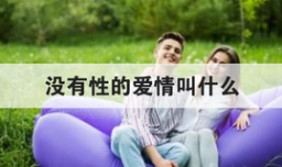 没有性的爱情叫什么