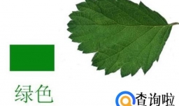 怎样教孩子认识颜色