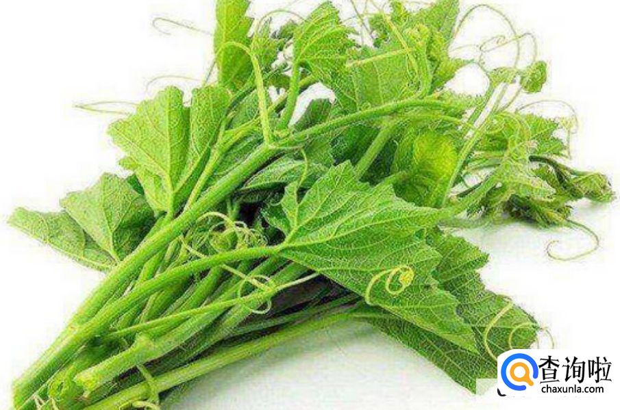 南瓜子怎么发成芽