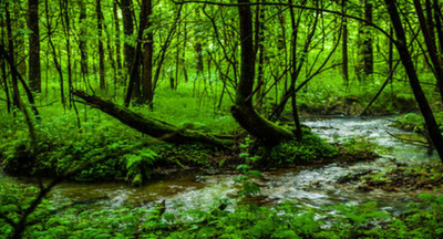 黑龙江省在我国的什么地区