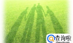 绿领的生活理念包括什么