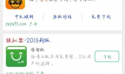 雷电安卓模拟器使用教程和功能