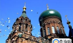 怎样在哈尔滨吃到美食？