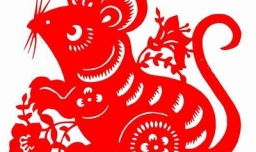 凿壁偷光是什么生肖？