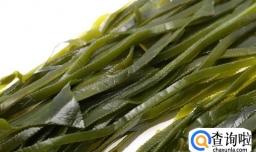 小孩子吃什么补营养？