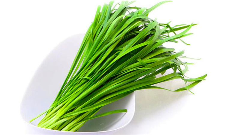 六月的韭菜为什么不能吃