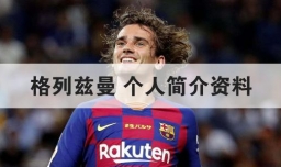 格列兹曼 个人简介资料