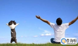 乌龙茶的功效与作用