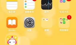 苹果6S来电闪光灯，iPhone6S来电闪光灯怎么设置