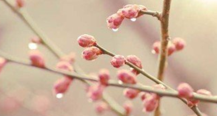 立春的含义是什么