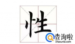 树心旁的笔顺——偏旁的笔顺