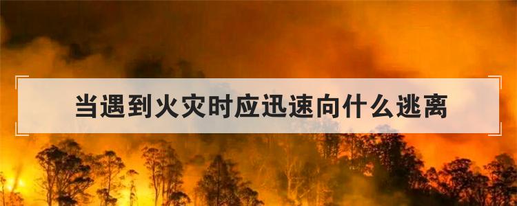 当遇到火灾时应迅速向什么逃离