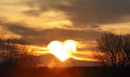 人心换人心的经典语录？