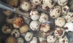 怎么做啤酒香蛋