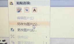 怎样将word中的图片另存为jpg格式的图片