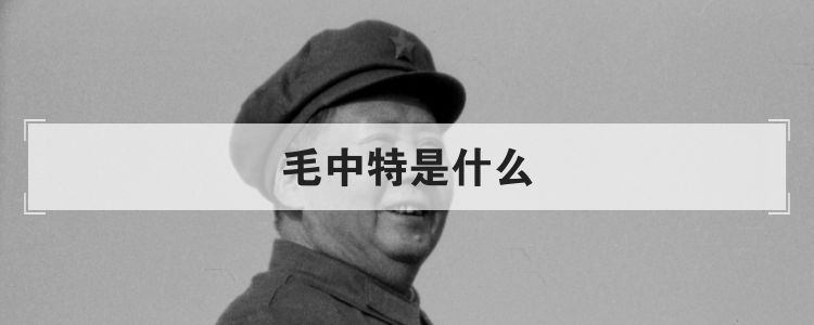 毛中特是什么