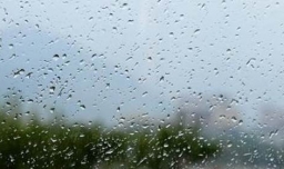 天气预报小雨的降雨量是多少？