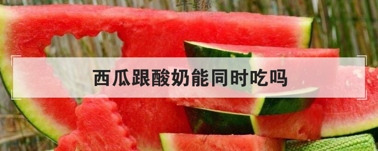 西瓜跟酸奶能同时吃吗