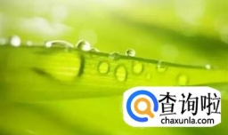 如何处好人际关系