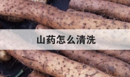 山药怎么清洗