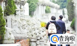 清明扫墓要带哪些东西