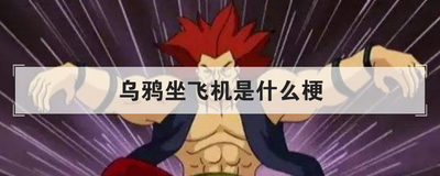 乌鸦坐飞机是什么梗