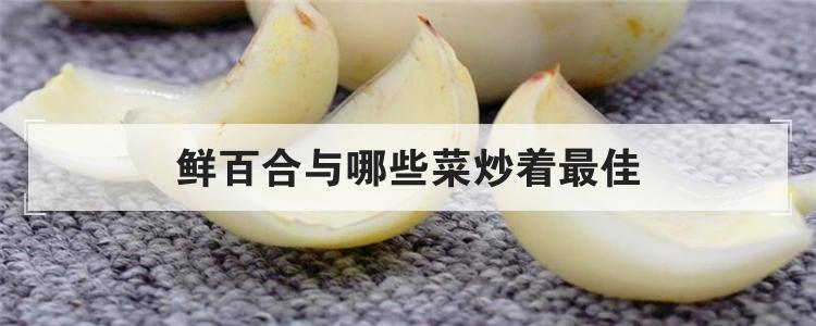 鲜百合与哪些菜炒着最佳