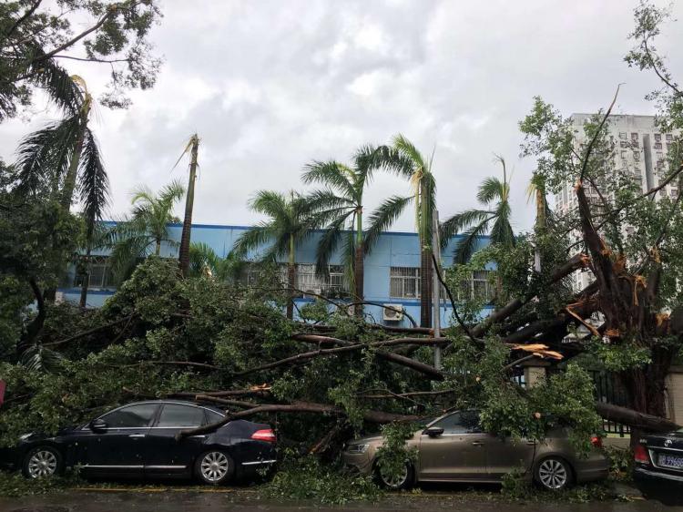 为什么台风有名字