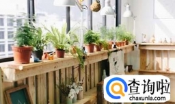 夏天室内怎么降温 室内降温用它比空调还凉快