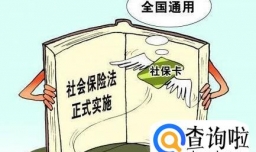 新生儿社保办理流程