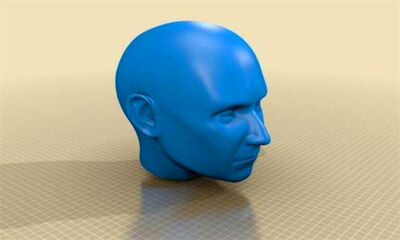 人的脑容量有多大