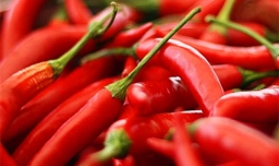 辣椒籽能不能吃